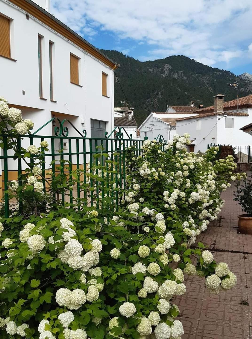 Albergue Ruta Rio Borosa Coto Rios Εξωτερικό φωτογραφία